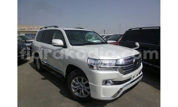Acheter Import Voiture Toyota Land Cruiser Blanc à Import - Dubai, Diana Acheter Import Voiture Toyota Land Cruiser Blanc à Import - Dubai, Diana