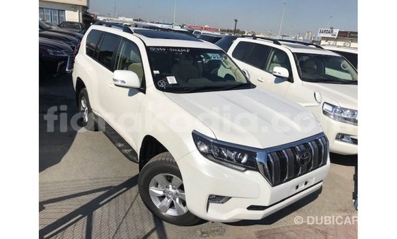 Acheter Import Voiture Toyota Prado Blanc à Import - Dubai, Diana Acheter Import Voiture Toyota Prado Blanc à Import - Dubai, Diana