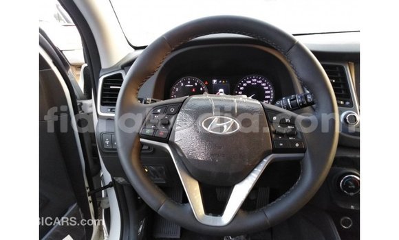 Hividy Hyundai Tucson fotsy Car in Import - Dubai in Diana Hividy Hyundai Tucson fotsy Car in Import - Dubai in Diana