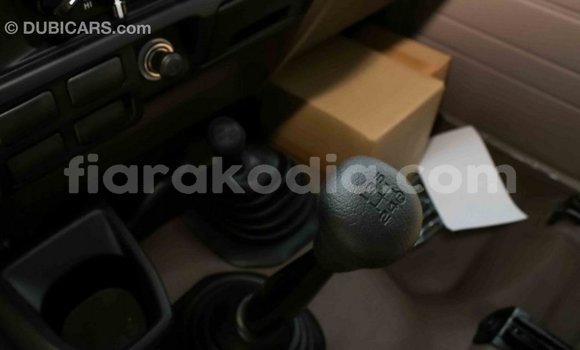 Hividy Toyota Land Cruiser beige Car in Import - Dubai in Diana Hividy Toyota Land Cruiser beige Car in Import - Dubai in Diana