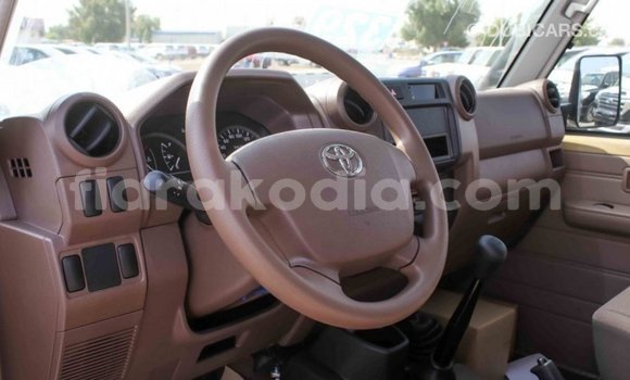 Hividy Toyota Land Cruiser beige Car in Import - Dubai in Diana Hividy Toyota Land Cruiser beige Car in Import - Dubai in Diana