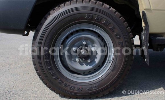 Hividy Toyota Land Cruiser beige Car in Import - Dubai in Diana Hividy Toyota Land Cruiser beige Car in Import - Dubai in Diana