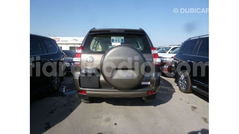 Big with watermark toyota prado diana import dubai 5423