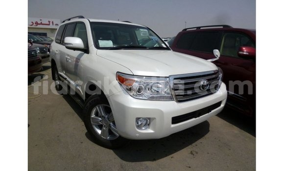 Acheter Import Voiture Toyota Land Cruiser Blanc à Import - Dubai, Diana Acheter Import Voiture Toyota Land Cruiser Blanc à Import - Dubai, Diana