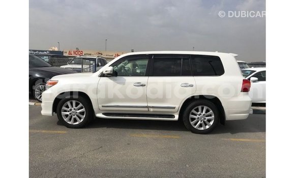 Acheter Import Voiture Toyota Land Cruiser Blanc à Import - Dubai, Diana Acheter Import Voiture Toyota Land Cruiser Blanc à Import - Dubai, Diana