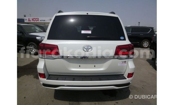 Acheter Import Voiture Toyota Land Cruiser Blanc à Import - Dubai, Diana Acheter Import Voiture Toyota Land Cruiser Blanc à Import - Dubai, Diana