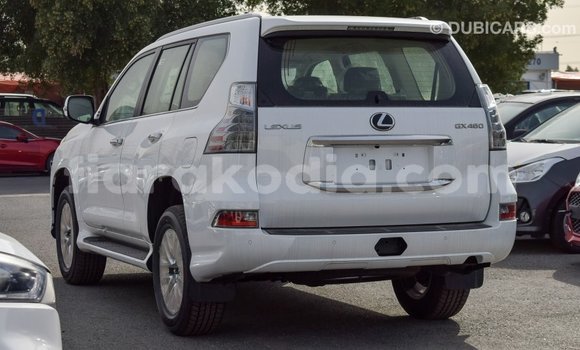 Hividy Lexus GX fotsy Car in Import - Dubai in Diana Hividy Lexus GX fotsy Car in Import - Dubai in Diana