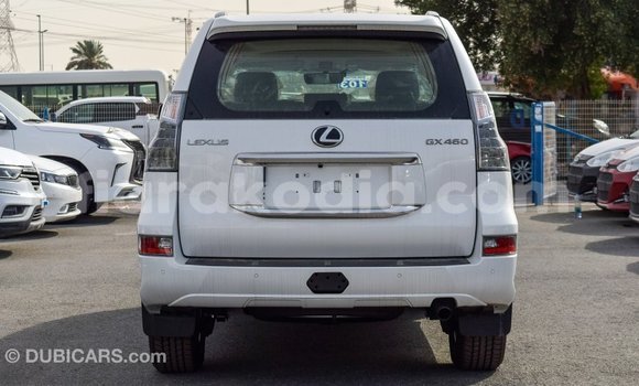 Hividy Lexus GX fotsy Car in Import - Dubai in Diana Hividy Lexus GX fotsy Car in Import - Dubai in Diana