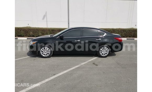 Buy Import Nissan Altima Black Car in Import - Dubai in Diana Buy Import Nissan Altima Black Car in Import - Dubai in Diana