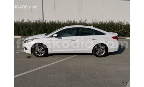 Buy Import Hyundai Sonata White Car in Import - Dubai in Diana Buy Import Hyundai Sonata White Car in Import - Dubai in Diana