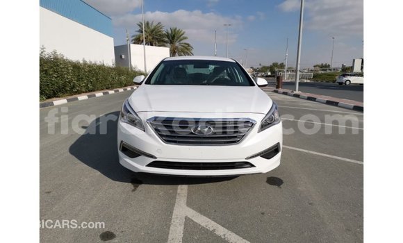 Buy Import Hyundai Sonata White Car in Import - Dubai in Diana Buy Import Hyundai Sonata White Car in Import - Dubai in Diana