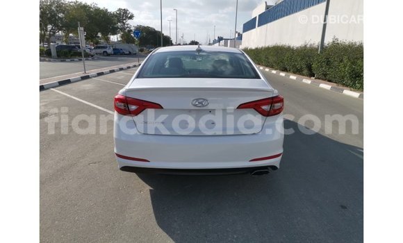 Buy Import Hyundai Sonata White Car in Import - Dubai in Diana Buy Import Hyundai Sonata White Car in Import - Dubai in Diana