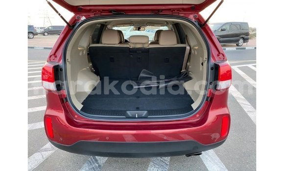 Hividy Kia Sorento Red Car in Import - Dubai in Diana Hividy Kia Sorento Red Car in Import - Dubai in Diana