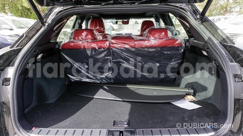 Big with watermark lexus rx 300 diana import dubai 5592