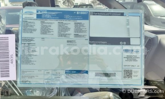 Buy Import Ford Club Wagon Red Car in Import - Dubai in Diana Buy Import Ford Club Wagon Red Car in Import - Dubai in Diana