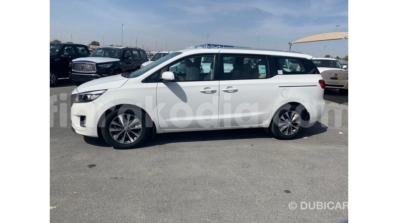 Big with watermark kia carnival diana import dubai 5603