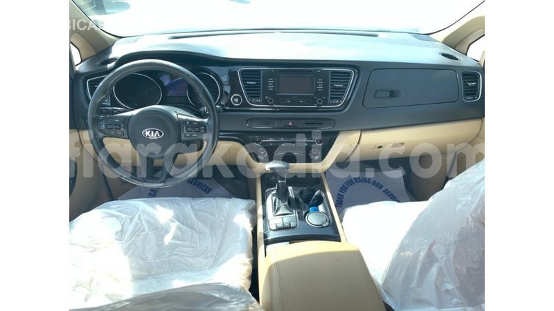 Big with watermark kia carnival diana import dubai 5603