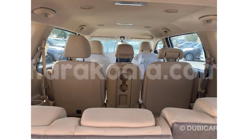 Big with watermark kia carnival diana import dubai 5603