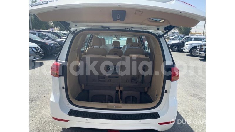 Big with watermark kia carnival diana import dubai 5603