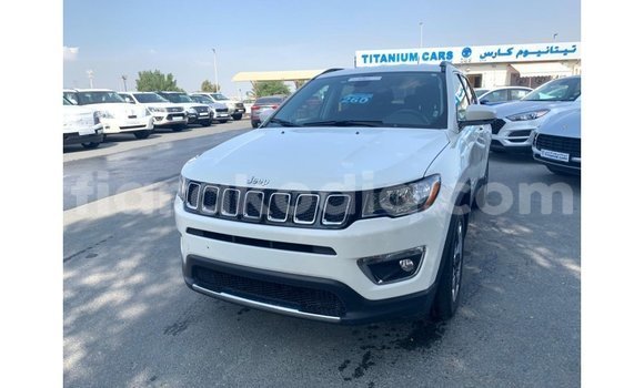 Acheter Import Voiture Jeep Compass Blanc à Import - Dubai, Diana