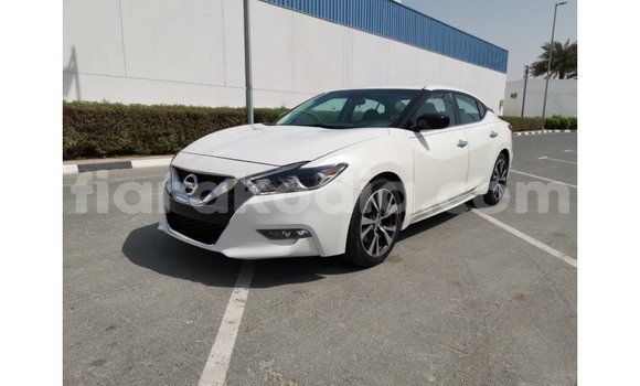Buy Import Nissan Maxima White Car in Import - Dubai in Diana Buy Import Nissan Maxima White Car in Import - Dubai in Diana