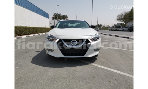Buy Import Nissan Maxima White Car in Import - Dubai in Diana Buy Import Nissan Maxima White Car in Import - Dubai in Diana