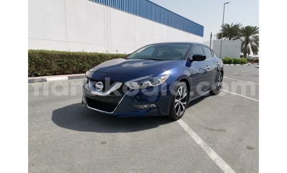 Buy Import Nissan Maxima Blue Car in Import - Dubai in Diana Buy Import Nissan Maxima Blue Car in Import - Dubai in Diana