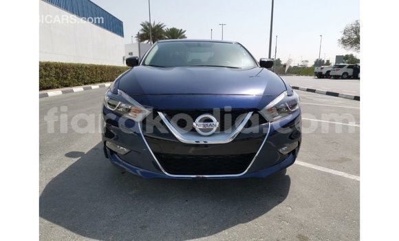 Buy Import Nissan Maxima Blue Car in Import - Dubai in Diana Buy Import Nissan Maxima Blue Car in Import - Dubai in Diana