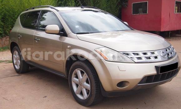 Acheter Occasion Voiture Nissan Murano Marron à Antananarivo, Analamanga