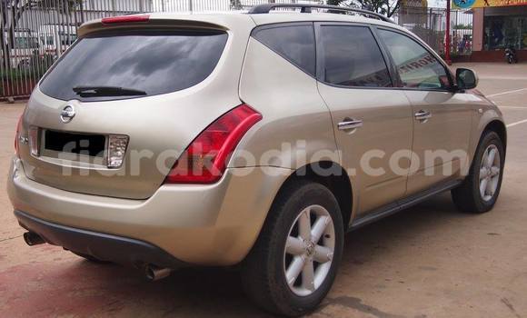 Acheter Occasion Voiture Nissan Murano Marron à Antananarivo, Analamanga Acheter Occasion Voiture Nissan Murano Marron à Antananarivo, Analamanga