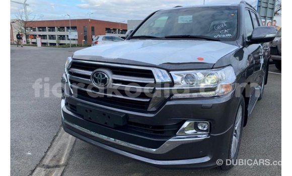 Buy Import Toyota Land Cruiser Other Car in Import - Dubai in Diana Buy Import Toyota Land Cruiser Other Car in Import - Dubai in Diana