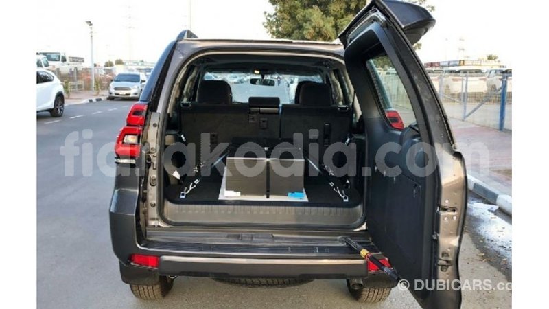 Big with watermark toyota prado diana import dubai 5651