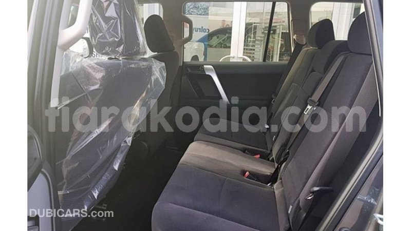 Big with watermark toyota prado diana import dubai 5656