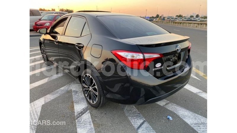 Big with watermark toyota corolla diana import dubai 5662