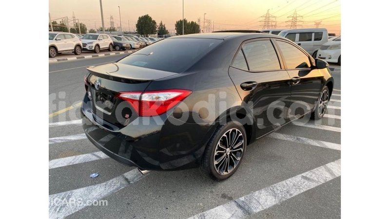 Big with watermark toyota corolla diana import dubai 5662