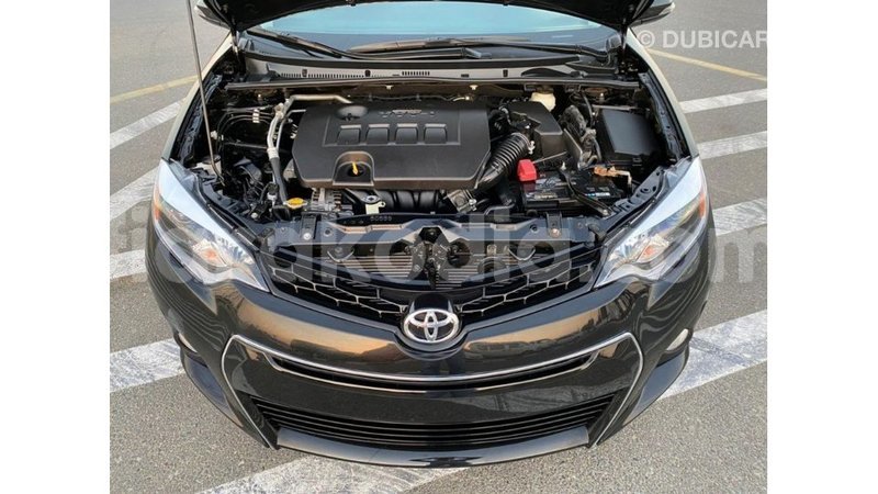 Big with watermark toyota corolla diana import dubai 5662