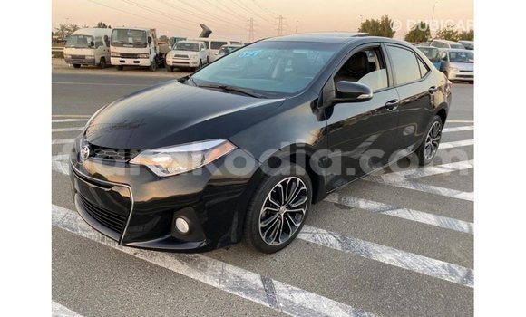 Hividy Toyota Corolla Black Car in Import - Dubai in Diana Hividy Toyota Corolla Black Car in Import - Dubai in Diana