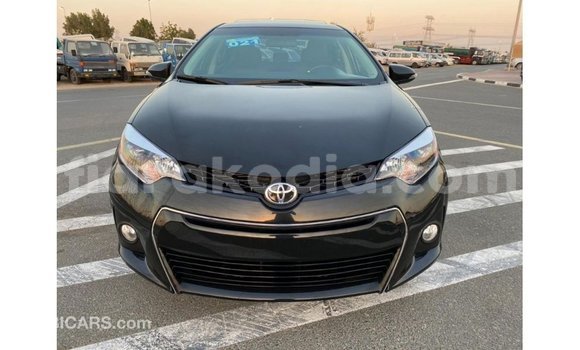Hividy Toyota Corolla Black Car in Import - Dubai in Diana Hividy Toyota Corolla Black Car in Import - Dubai in Diana