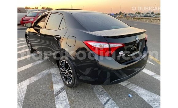Hividy Toyota Corolla Black Car in Import - Dubai in Diana Hividy Toyota Corolla Black Car in Import - Dubai in Diana
