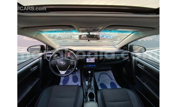 Hividy Toyota Corolla Black Car in Import - Dubai in Diana Hividy Toyota Corolla Black Car in Import - Dubai in Diana