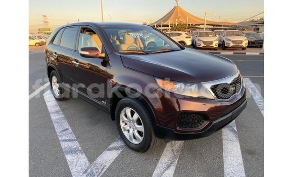 Hividy Kia Sorento Brown Car in Import - Dubai in Diana Hividy Kia Sorento Brown Car in Import - Dubai in Diana