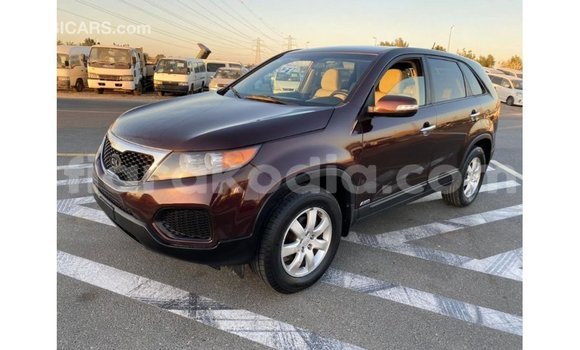 Hividy Kia Sorento Brown Car in Import - Dubai in Diana Hividy Kia Sorento Brown Car in Import - Dubai in Diana
