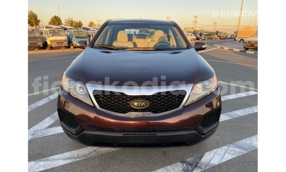 Hividy Kia Sorento Brown Car in Import - Dubai in Diana Hividy Kia Sorento Brown Car in Import - Dubai in Diana