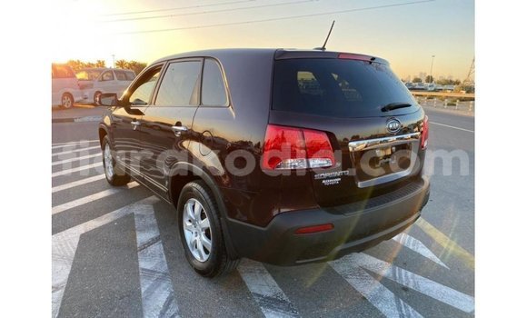 Hividy Kia Sorento Brown Car in Import - Dubai in Diana Hividy Kia Sorento Brown Car in Import - Dubai in Diana