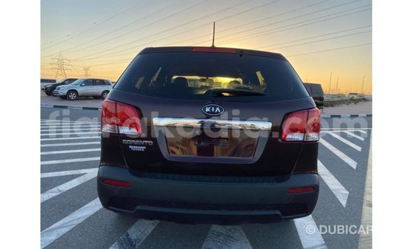Hividy Kia Sorento Brown Car in Import - Dubai in Diana Hividy Kia Sorento Brown Car in Import - Dubai in Diana