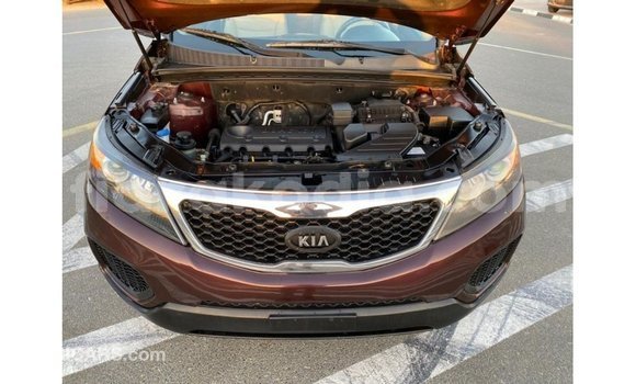 Hividy Kia Sorento Brown Car in Import - Dubai in Diana Hividy Kia Sorento Brown Car in Import - Dubai in Diana