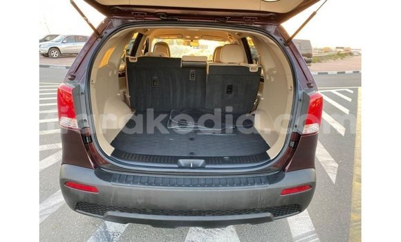 Hividy Kia Sorento Brown Car in Import - Dubai in Diana Hividy Kia Sorento Brown Car in Import - Dubai in Diana