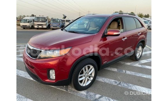 Hividy Kia Sorento Red Car in Import - Dubai in Diana Hividy Kia Sorento Red Car in Import - Dubai in Diana
