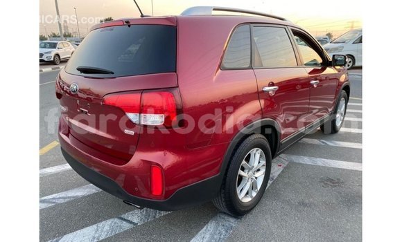 Hividy Kia Sorento Red Car in Import - Dubai in Diana Hividy Kia Sorento Red Car in Import - Dubai in Diana