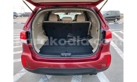 Hividy Kia Sorento Red Car in Import - Dubai in Diana Hividy Kia Sorento Red Car in Import - Dubai in Diana